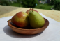 Preview: Handgefertigte Eichenholz-Schale von mARTinWood mit frischem Obst