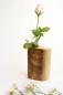 Preview: Handgefertigte Vase aus hellem Ahornholz mit einer unter Epoxidharz konservierten Baumrinde und einer weißen Rose